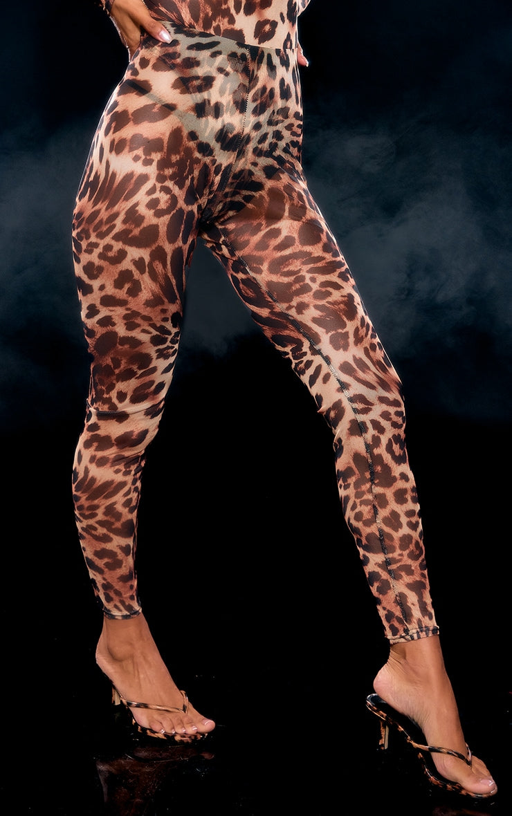 Next Day Delivery Before 10 pm Brown Leopard Print Mesh Leggings